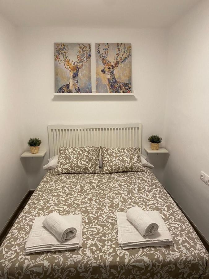 Piso En El Corazón De Apartamento